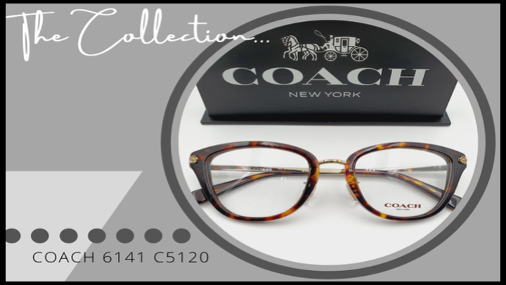 Spectacle frame example